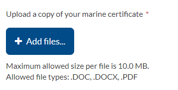 Button showing Add files with the maximum allowed file size displayed and file types allowedunderneath