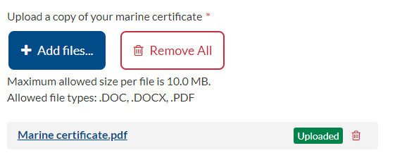 Remove button and trash can icon are displayed with the name of the file
