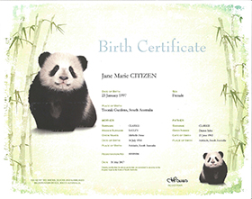 Birth Certificate – Soft green with bamboo design on each side. There is a large panda on the left-hand side and a smaller panda on the bottom tight corner. The information on the certificate includes name of the child, sex, place of birth. Names and age of the parents. The Registration number and the date of the birth. 